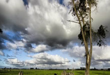 虎扑nba官网：CBA季后赛对阵：广东队一轮游？胡明轩想哭，辽宁队四大苦主.